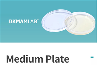 Kulturmedium, Laborgebrauch, Trypton-Soja-AGAR (Dreifachpackung), TSA-AGAR-Platte, 9-cm-Nähragar-Mediumplatte