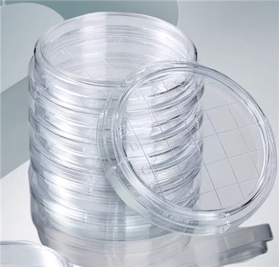 Sterile Rodac-Kontaktplatte 55 cm Petrischale